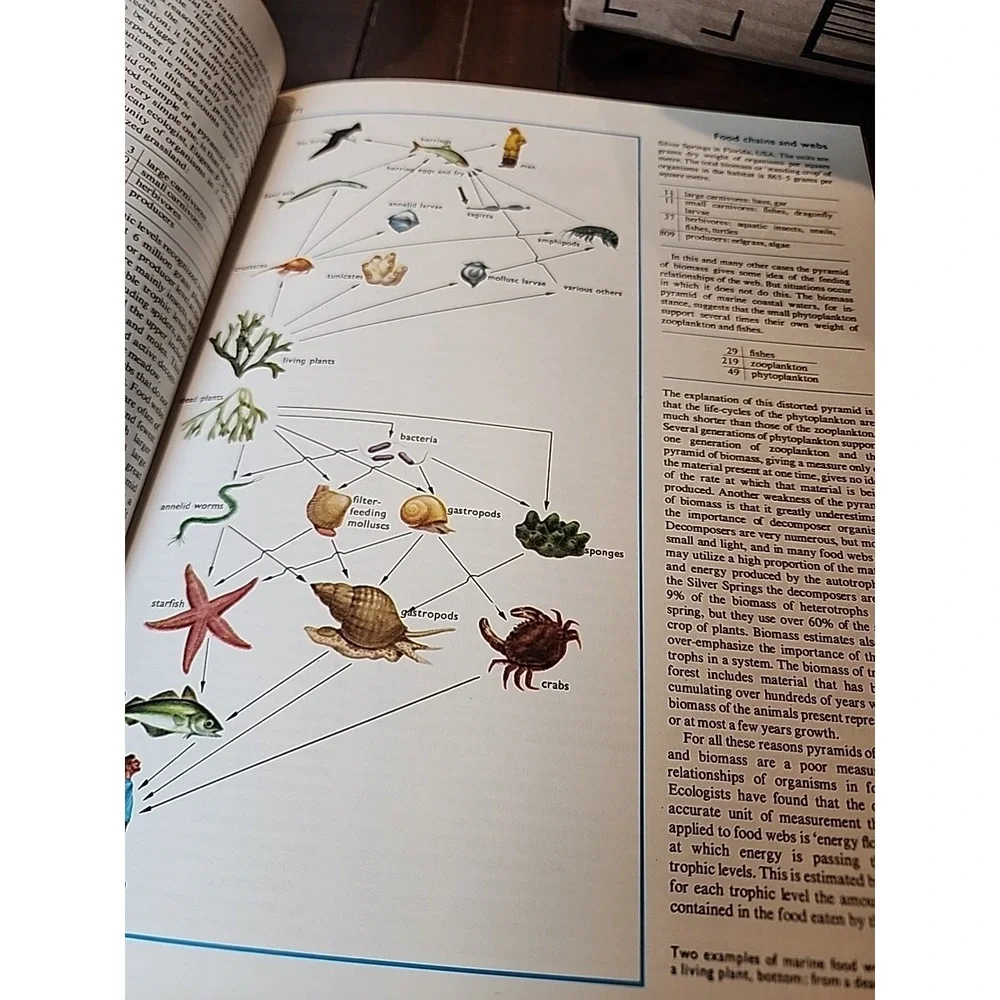 Encyclopedia of the Animal World Vol 9 Vtg 1972 Following Response - Goldcrest